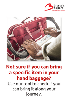 POC handbaggage.png